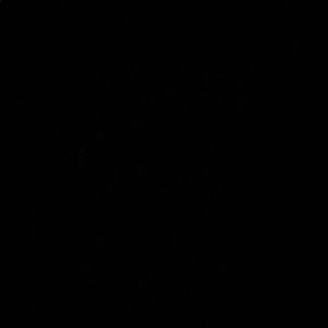 Meet your Posher, Gustavo